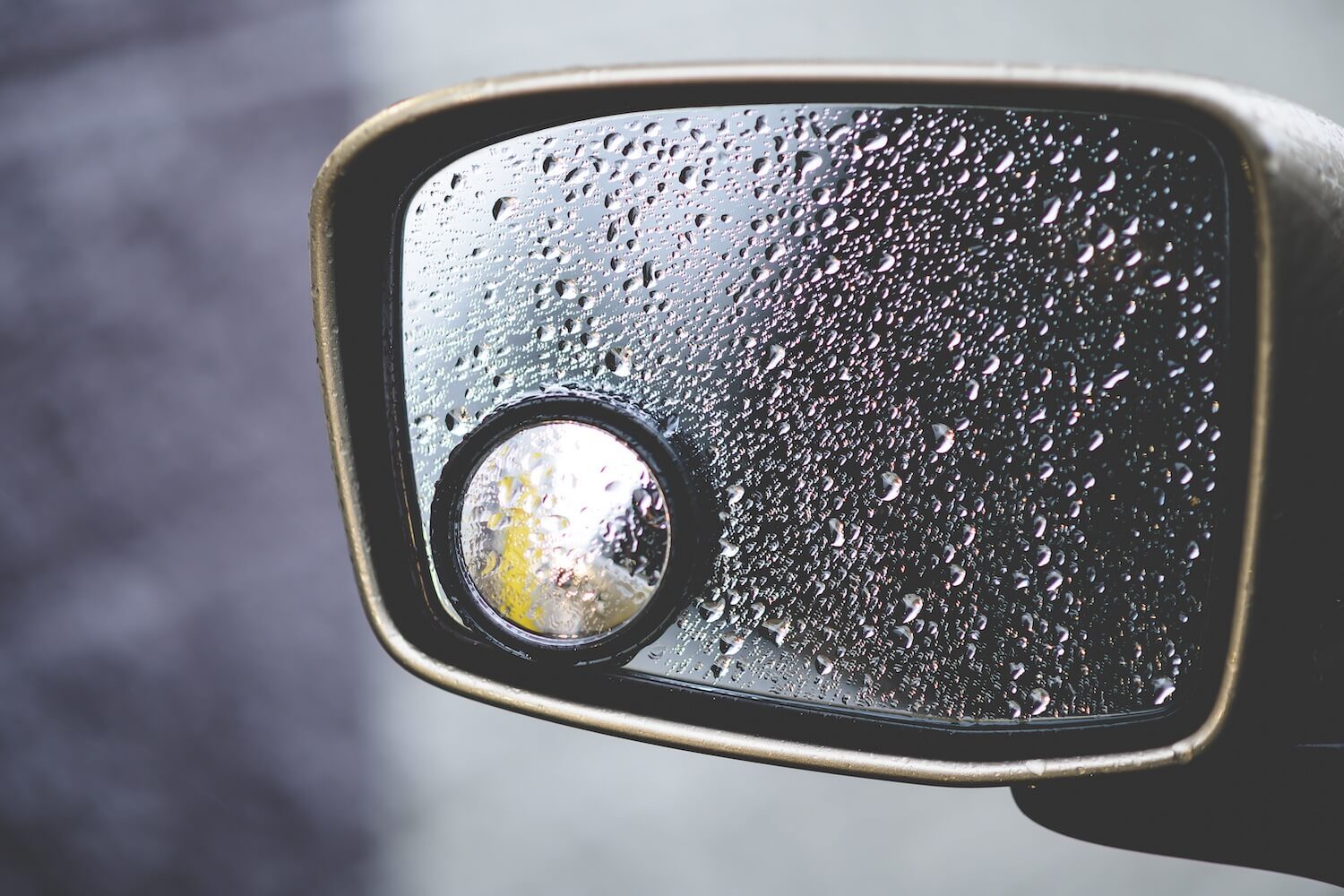 What's Your Blind Spot?